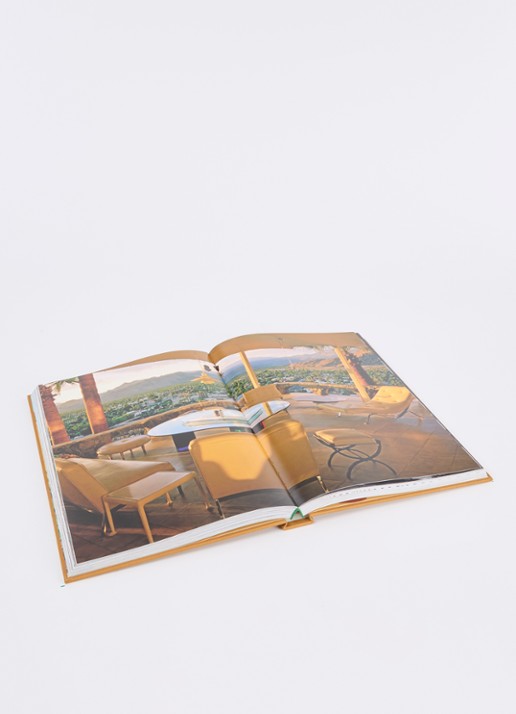 Assouline Palm Springs - voorkant 2 bruin
