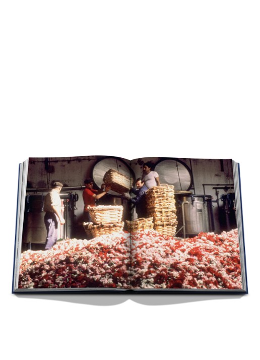Assouline Robertet: From Seed to Scent - detail 5 multicolor