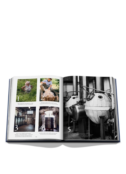 Assouline Robertet: From Seed to Scent - detail 7 multicolor