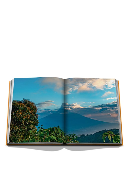 Assouline Ron Zacapa from Guatemala - detail 4 multicolor