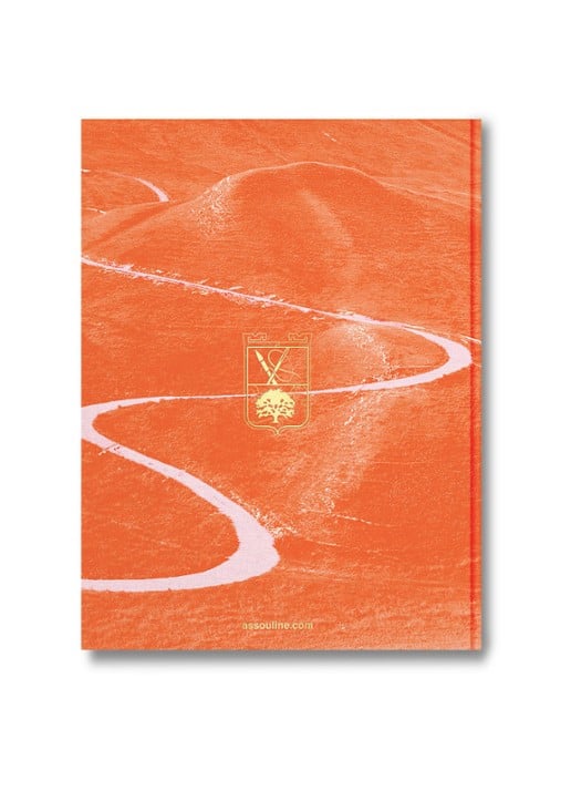 Assouline Santoni Meraviglia - detail 3 orange