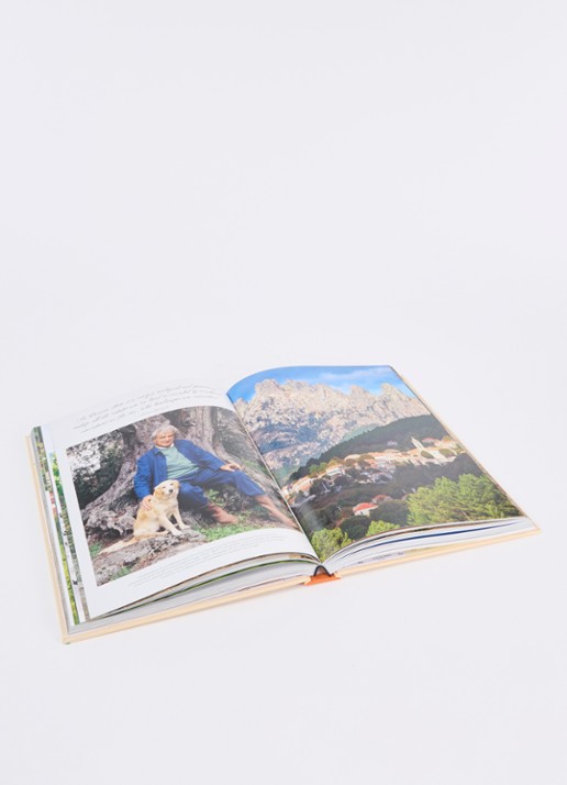 Assouline Wine & Travel France - voorkant 2 orange