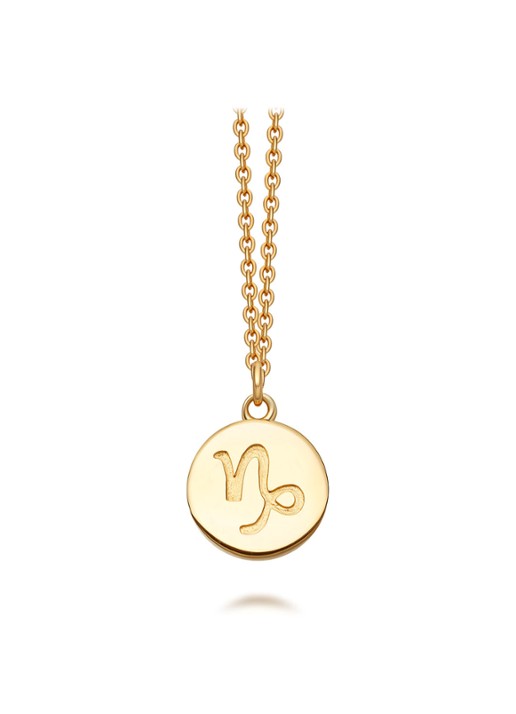 Astley Clarke Capricorn Zodiac ketting verguld - voorkant 2 goud