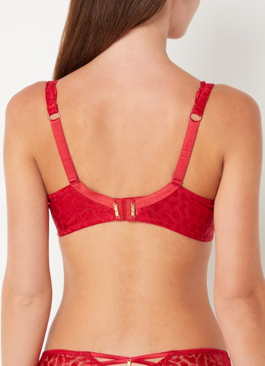 Aubade Crazy In Love balconette bh van mesh - achterkant 3 rood