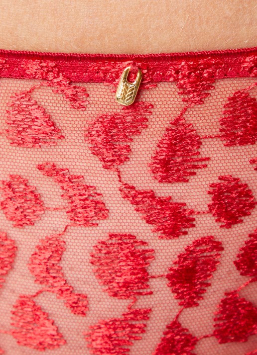 Aubade Crazy In Love hipster van mesh - detail 4 rood