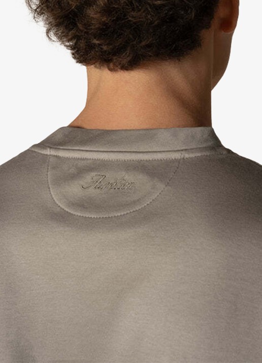 Aurélien T-shirt met ronde hals - achterkant 4 dark taupe-901