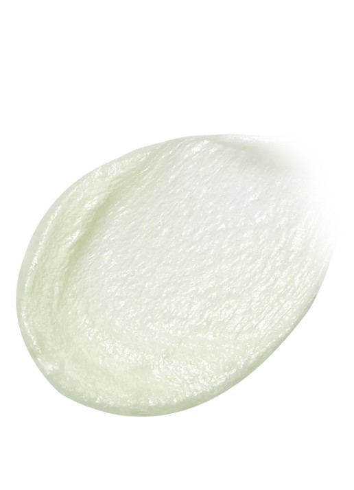 Banila Co  Clean It Zero Pore Clarifying Foam Cleanser - reinigingsschuim - voorkant 4 undefined