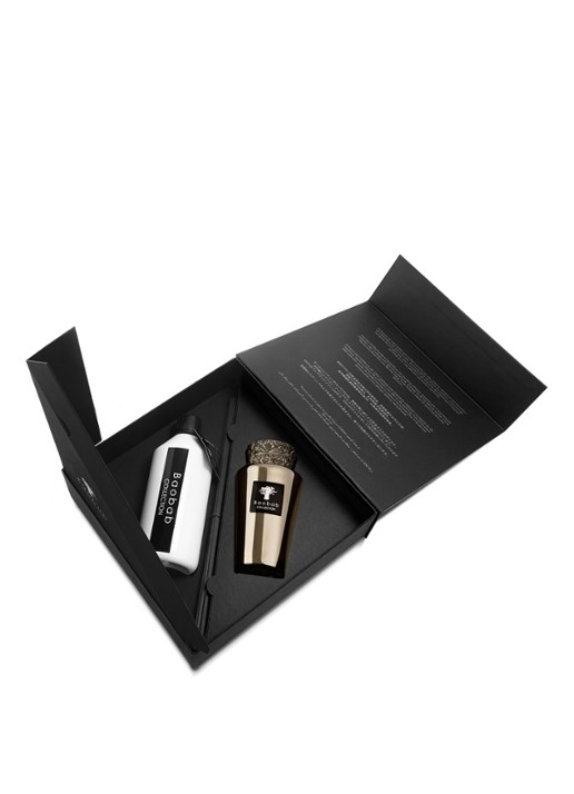 Baobab Collection Mini Totem Platinum geurstokjes 250 ml met navulling 500 ml - voorkant 2 zilver