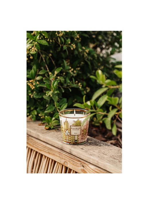 Baobab Collection My First Baobab Miami geurkaars 190 gram - voorkant 2 goud