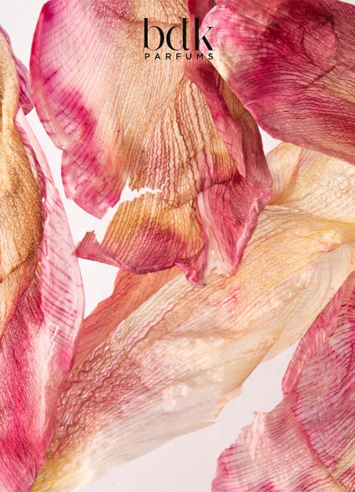 BDK Parfums Tabac Rose Eau de Parfum  - detail 5 undefined