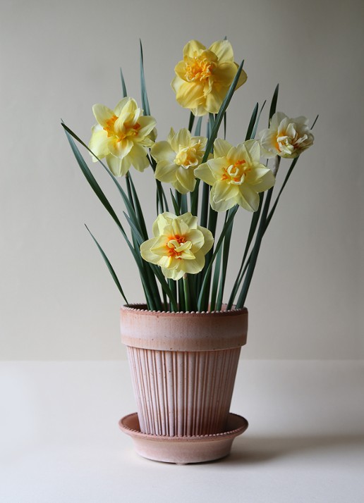 Bergs Potter Simona bloempot voor binnen en buiten Ø18 cm - voorkant 2 donkerbeige