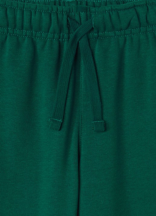 Björn Borg Borg Classic tapered fit joggingbroek met logoborduring - detail groen