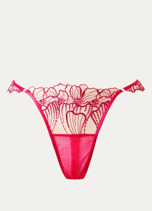 Bluebella Amarosa slip van mesh met borduring - voorkant rood