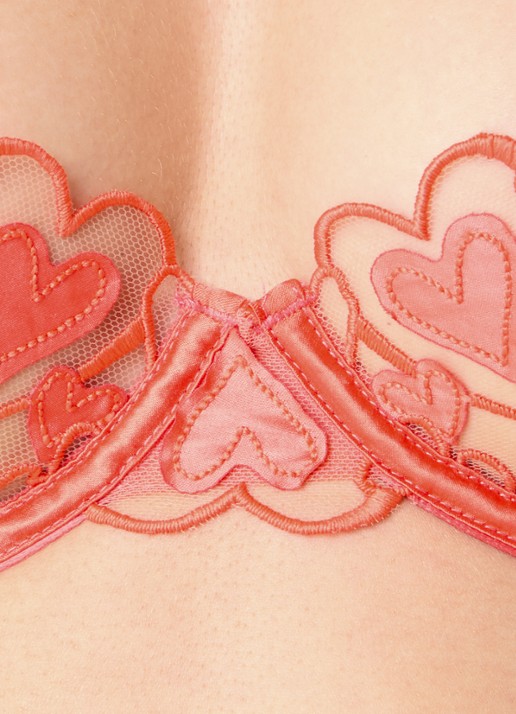 Bluebella Harlow beugel bh van mesh met borduring - detail 9 koraal