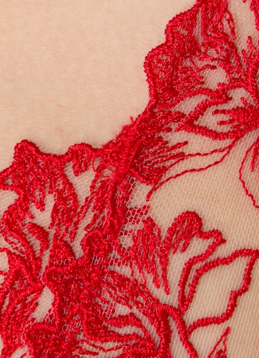 Bluebella Samara beugel bh van mesh - detail 3 kersenrood