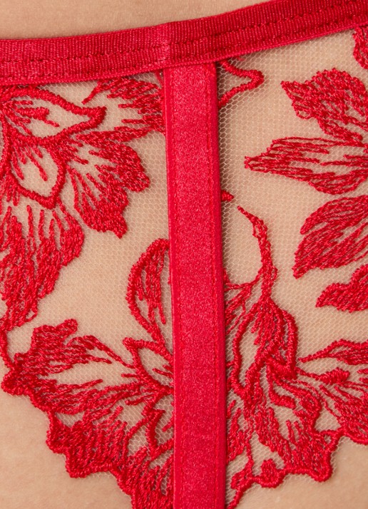 Bluebella Samara jarretels van mesh met borduring - detail 5 rood