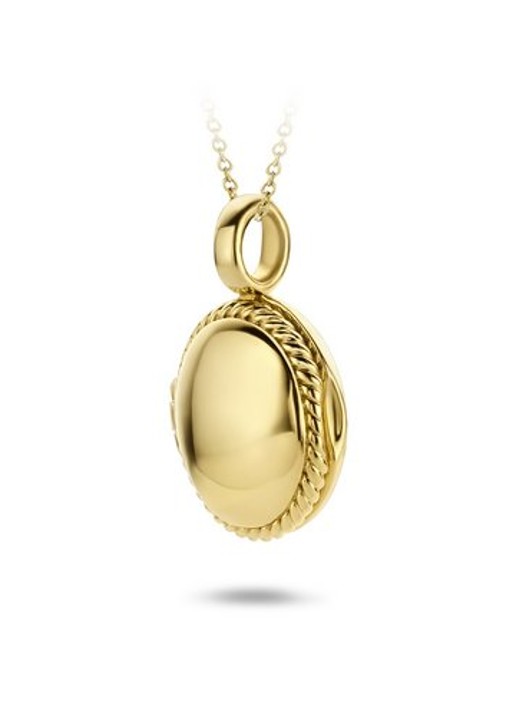Blush Hanger van 14 karaat geelgoud 6086YGO - voorkant 2 geelgoud