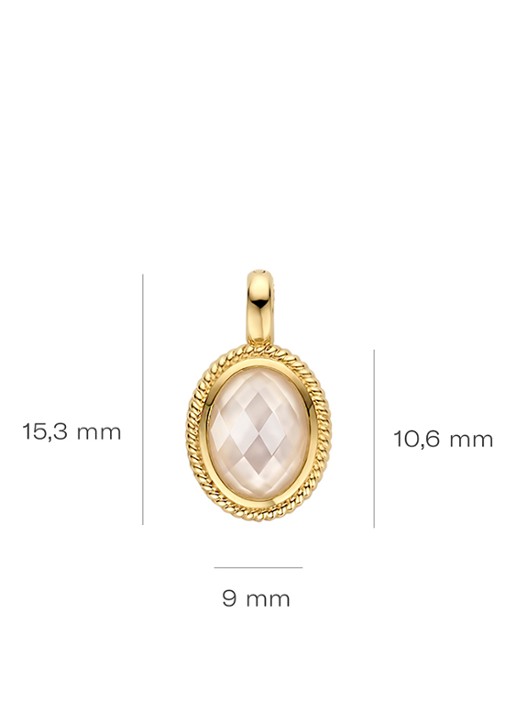Blush Hanger van 14 karaat geelgoud 6097YMQ  - detail goud