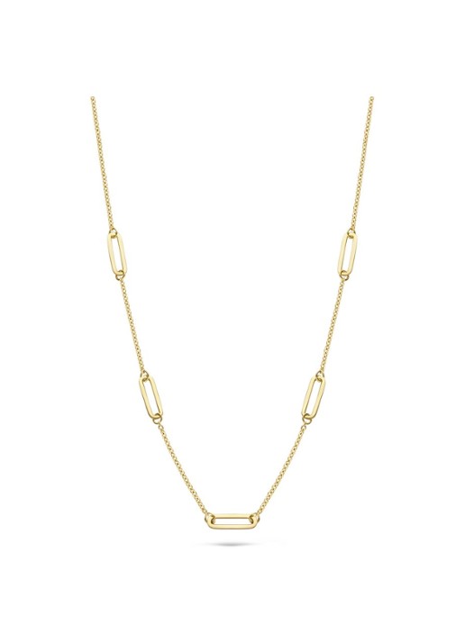 Blush Ketting van 14 karaat geelgoud 3102YGO