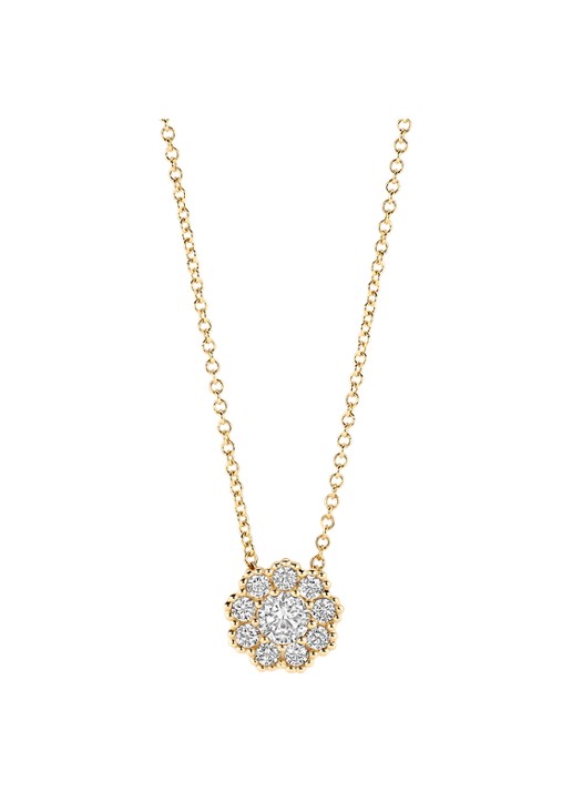 Blush Ketting van 14 karaat geelgoud 3196YZI