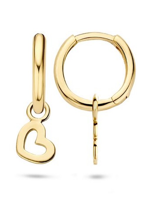 Blush Oorbedel van 14 karaat geelgoud 9057YGO - voorkant 2 geelgoud