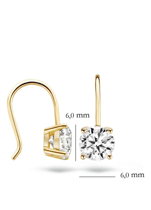 Blush Oorhangers van 14 karaat geelgoud met zirkonia 7055YZI - detail 4 geelgoud
