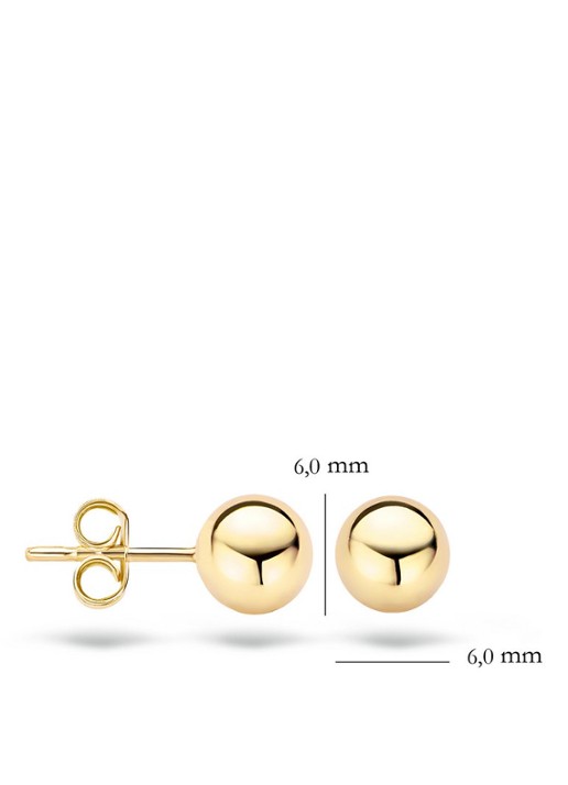 Blush Oorknopjes van 14 karaat geelgoud 7123YGO - detail goud