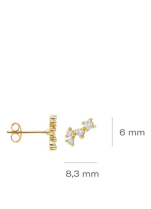 Blush Oorknopjes van 14 karaat geelgoud 7373YZI  - detail goud