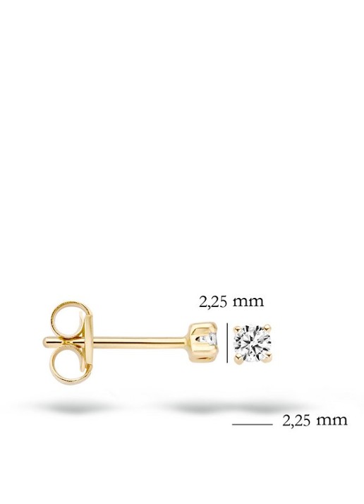 Blush Oorknopjes van 14 karaat geelgoud met zirkonia 8717828160411 - detail 2 geelgoud