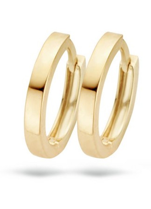Blush Oorringen van 14 karaat geelgoud 7202YGO