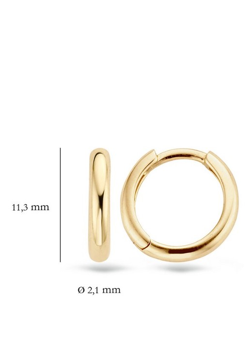 Blush Oorringen van 14 karaat geelgoud 7203YGO  - detail 3 goud