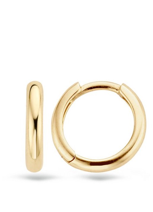 Blush Oorringen van 14 karaat geelgoud 7203YGO  - detail 4 goud