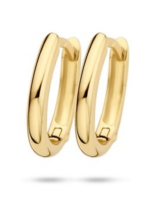 Blush Oorringen van 14 karaat geelgoud 7224YGO