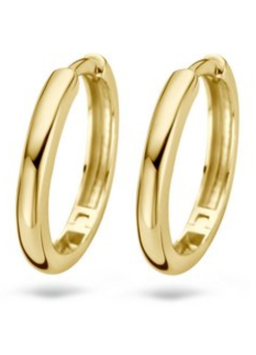 Blush Oorringen van 14 karaat geelgoud 7271YGO