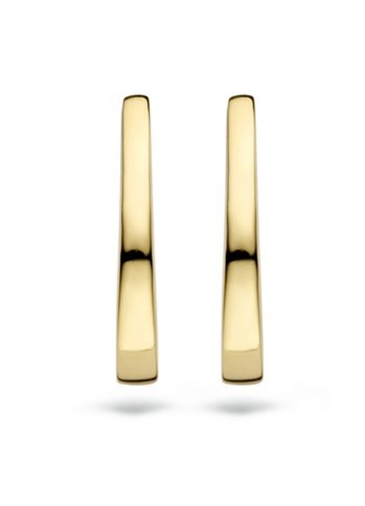 Blush Oorringen van 14 karaat geelgoud 7277YGO - detail geelgoud