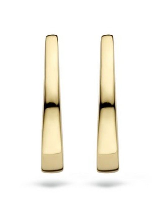 Blush Oorringen van 14 karaat geelgoud 7278YGO - detail geelgoud