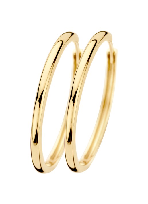 Blush Oorringen van 14 karaat geelgoud 7311YGO