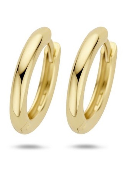 Blush Oorringen van 14 karaat geelgoud 7317YGO