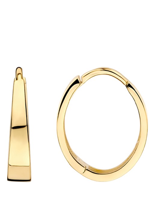 Blush Oorringen van 14 karaat geelgoud 7379YGO - detail 4 goud