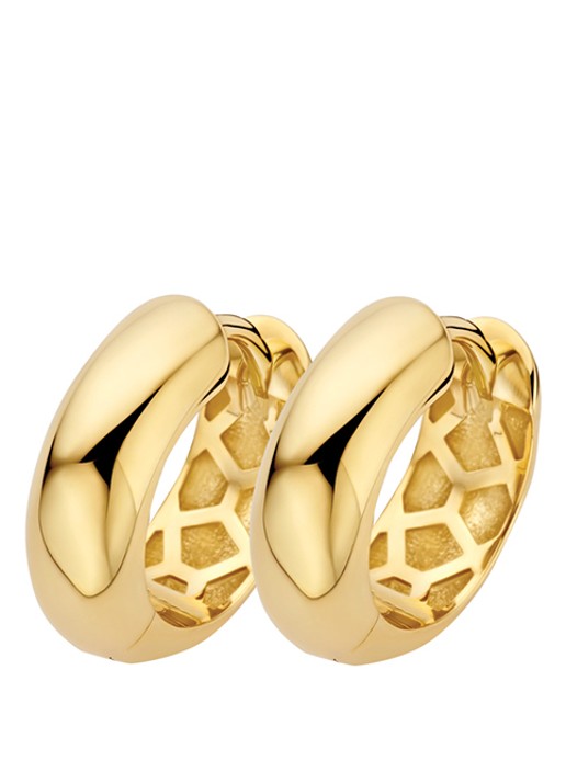 Blush Oorringen van 14 karaat geelgoud 7388YGO