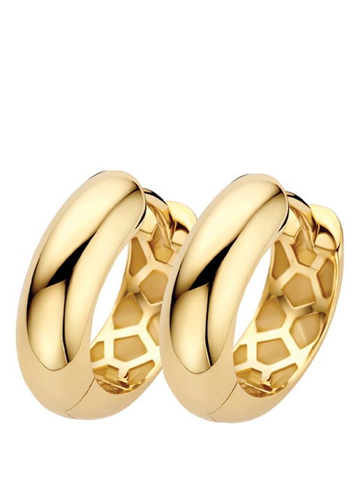 Blush Oorringen van 14 karaat geelgoud 7389YGO