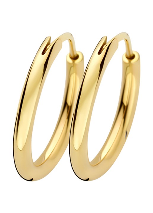 Blush Oorringen van 14 karaat geelgoud 7406YGO