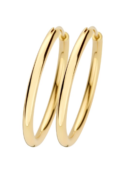 Blush Oorringen van 14 karaat geelgoud 7408YGO