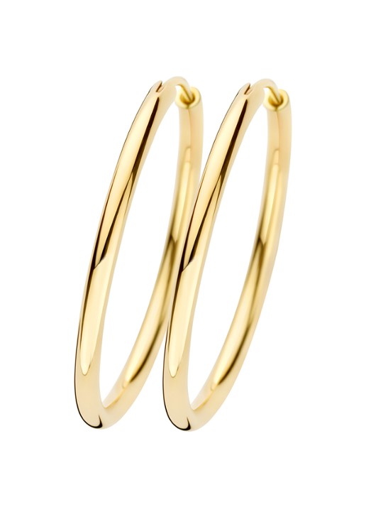 Blush Oorringen van 14 karaat geelgoud 7409YGO