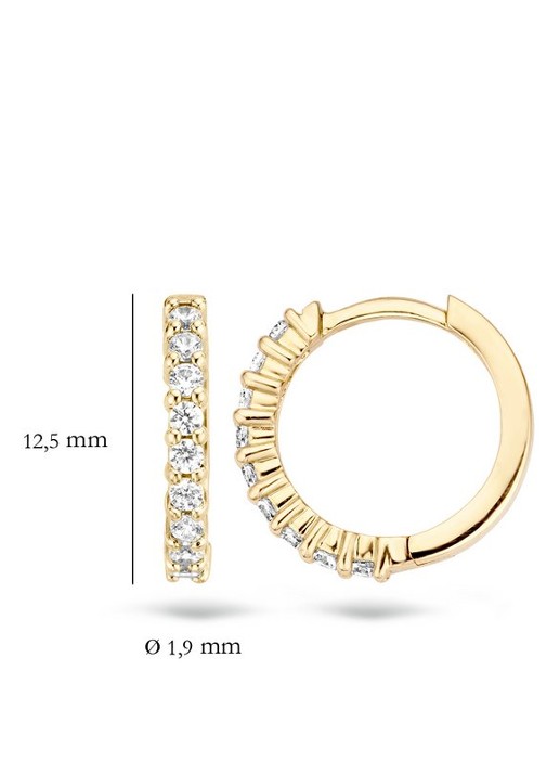 Blush Oorringen van 14 karaat geelgoud met zirkonia 7166YZI - detail 2 goud