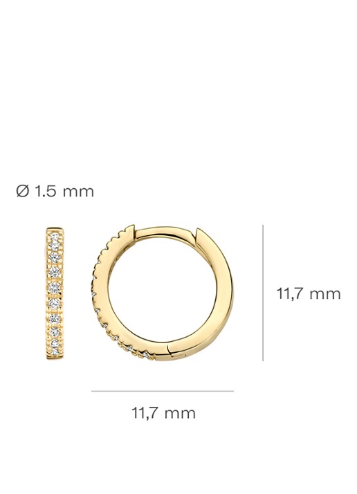 Blush Oorringen van 14 karaat geelgoud met zirkonia 7307YZI  - detail 4 geelgoud