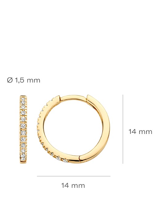 Blush Oorringen van 14 karaat geelgoud met zirkonia 7309YZI  - detail 4 geelgoud