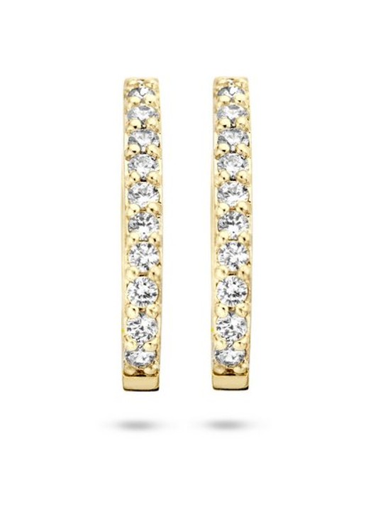 Blush Oorringen van 14k geelgoud 7236YZI  - detail goud