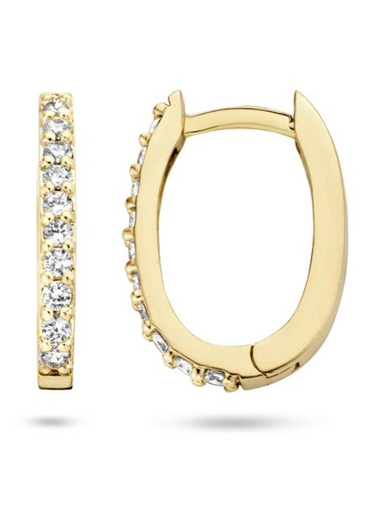 Blush Oorringen van 14k geelgoud 7236YZI  - detail 2 goud