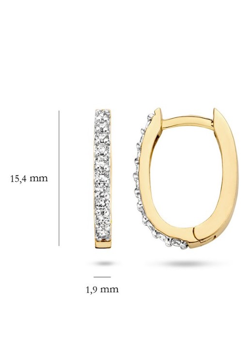 Blush Oorringen van 14k geelgoud 7236YZI  - detail 3 goud